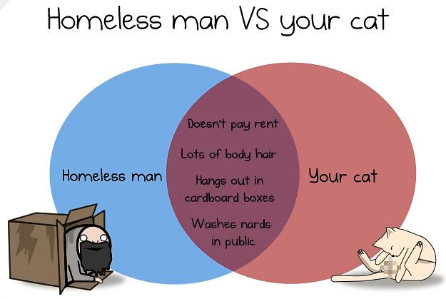 Obrázek Homeless man vs your cat