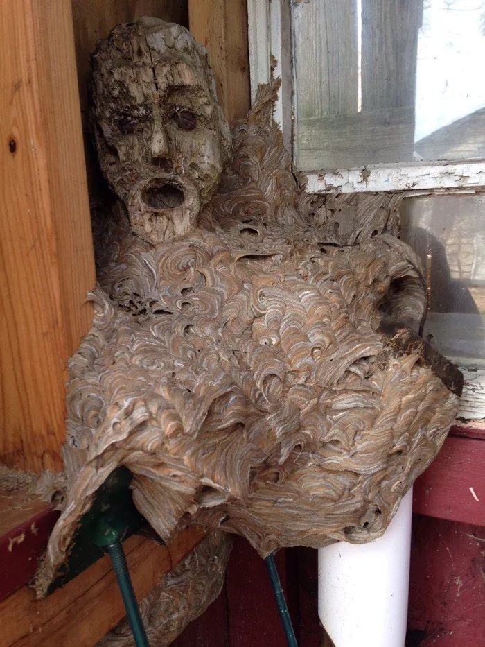 Obrázek Hornets-nest-around-a-wooden-statue-of-a-man