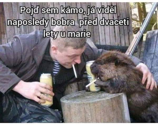 Obrázek Hosi&nbsp;od&nbsp;Bobri&nbsp;reky