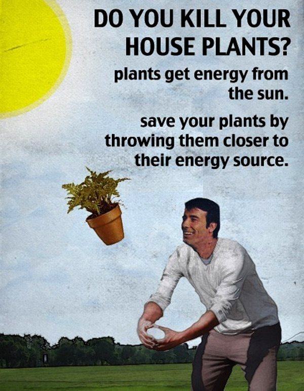 Obrázek House Plants Need Energy