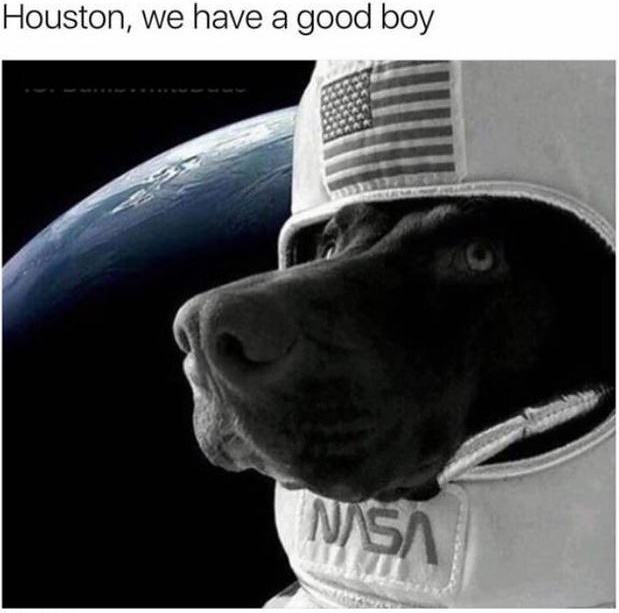 Obrázek Houston We Have A Good Boy