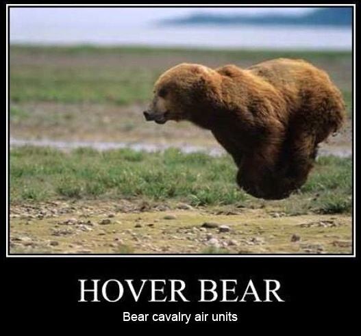 Obrázek Hover Bear