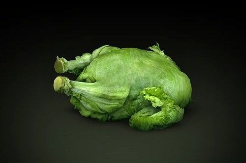 Obrázek How A Vegetarian Sees Letucce - 24-04-2012
