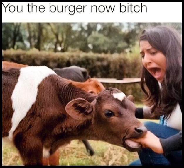 Obrázek How Cute3910