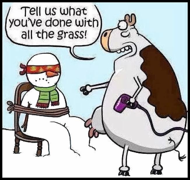 Obrázek How&nbsp;I&nbsp;feel&nbsp;in&nbsp;winter