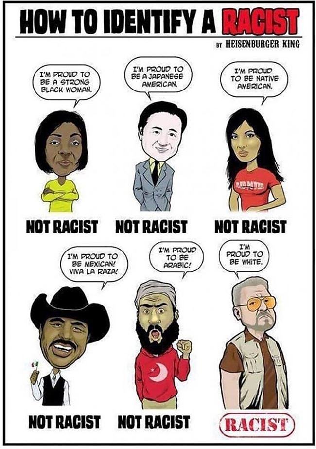 Obrázek How To Identify A Racist