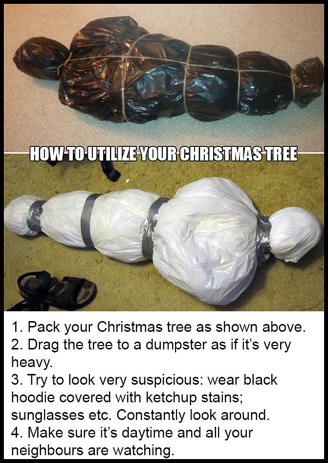 Obrázek How To Utilize Your Christmas TreE