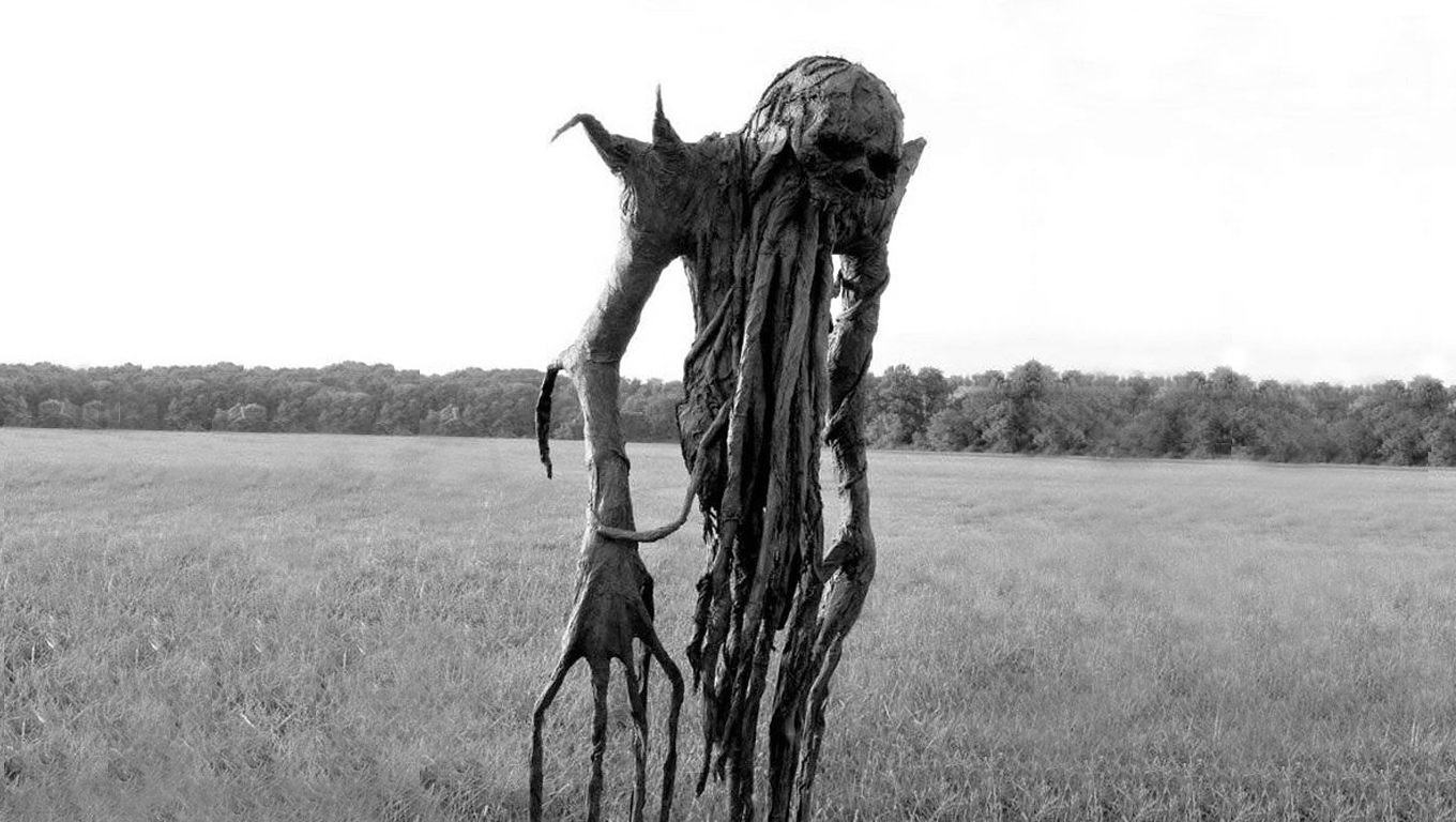 Obrázek How a Scarecrow should really look - 14-05-2012