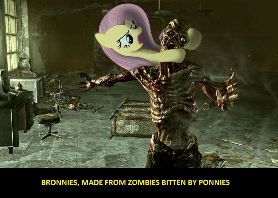Obrázek How are bronnies made