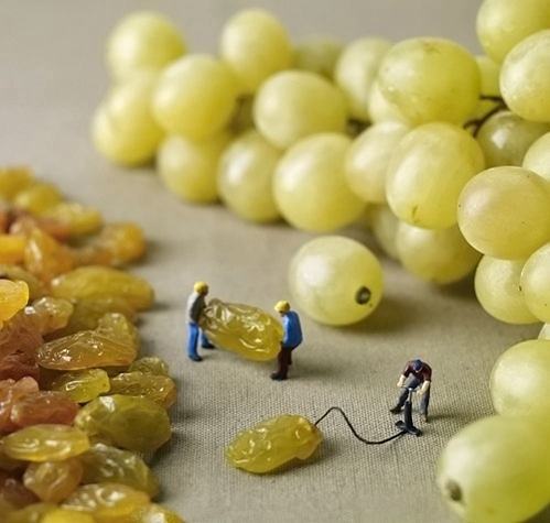 Obrázek How grapes are made