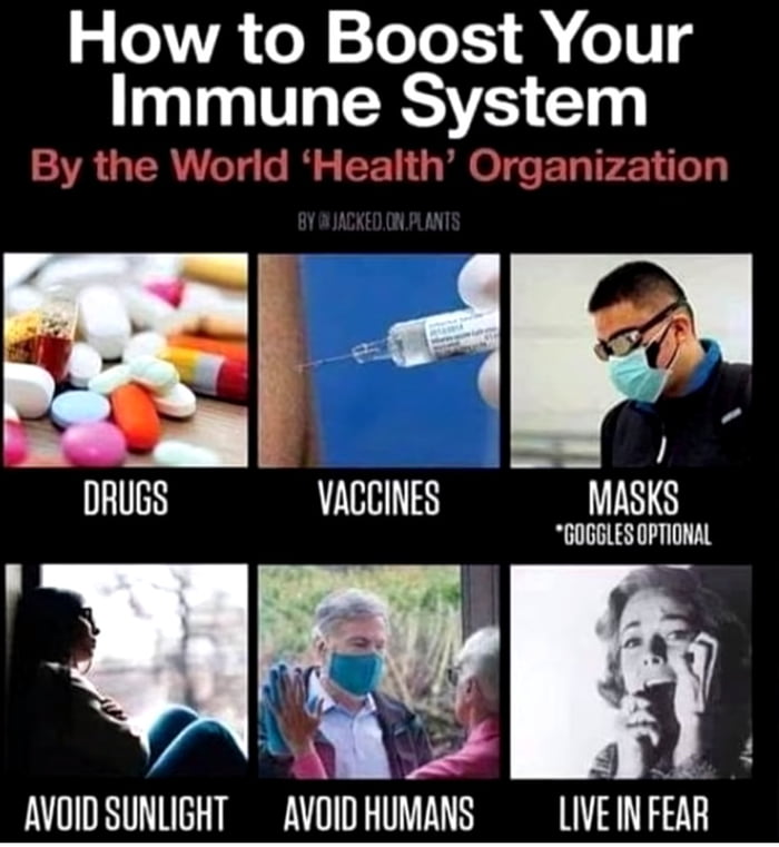 Obrázek How to boost your immune system