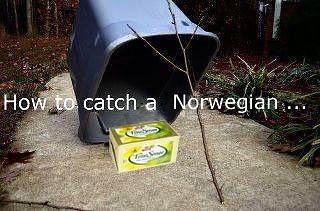 Obrázek How to catch a Norwegian 20-12-2011