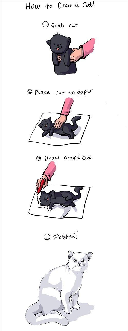 Obrázek How to draw a cat   