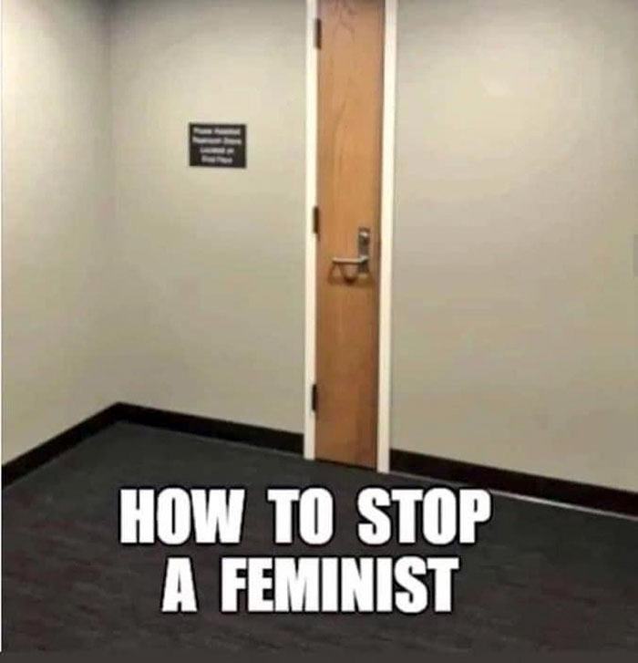 Obrázek How to stop a feminist