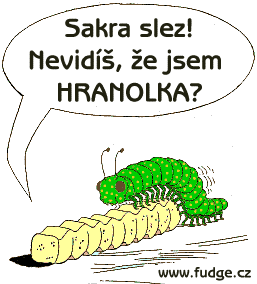 Obrázek Hranolka