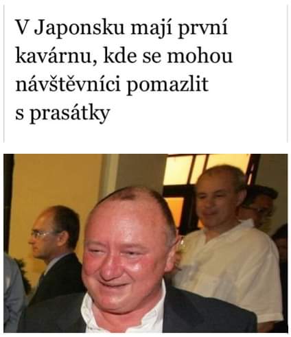 Obrázek Hratky s prasatky