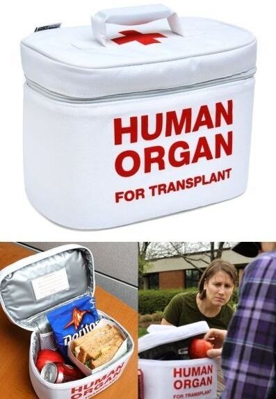 Obrázek Human organ box