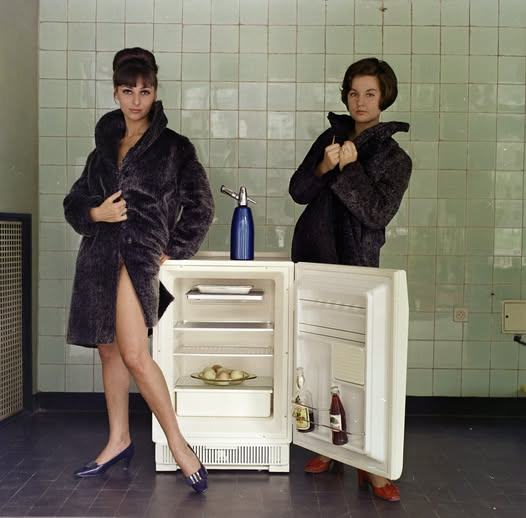 Obrázek Hungarian refrigerator advertisement 1969