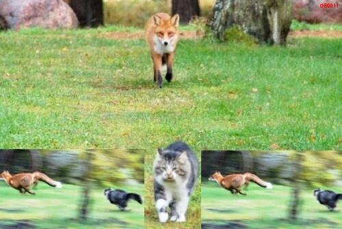 Obrázek Hunting-Fail-001