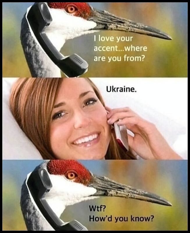 Obrázek ILoveYourAccent