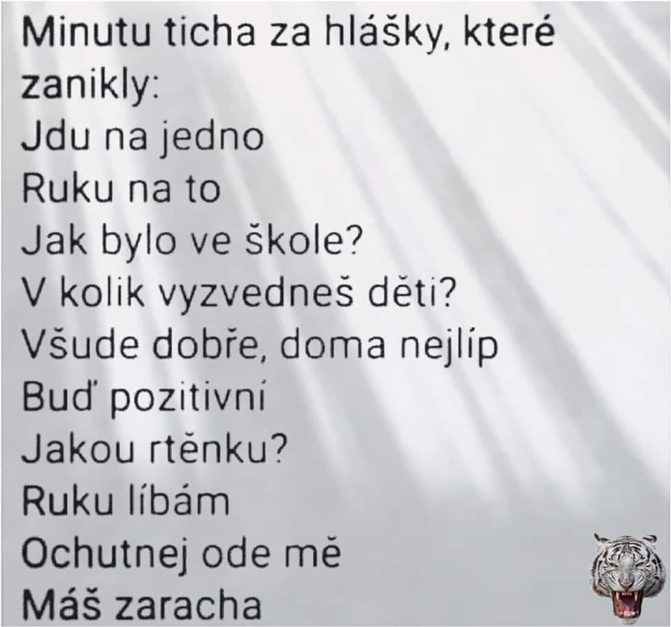 Obrázek IMG-20201016-WA0003