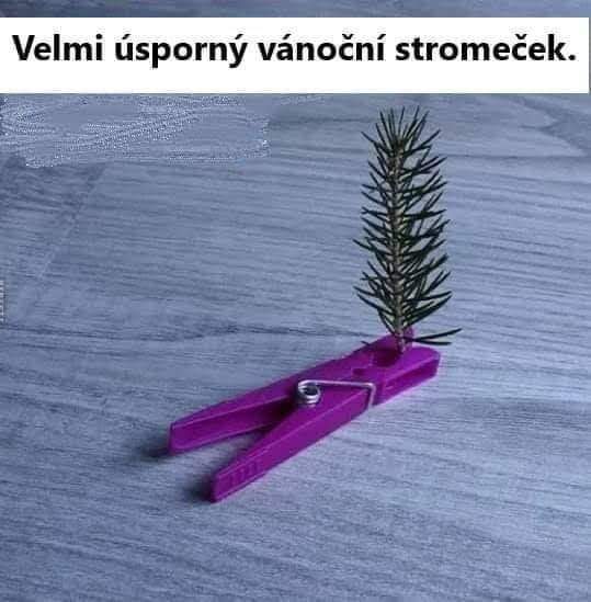 Obrázek IMG-20201221-WA0021