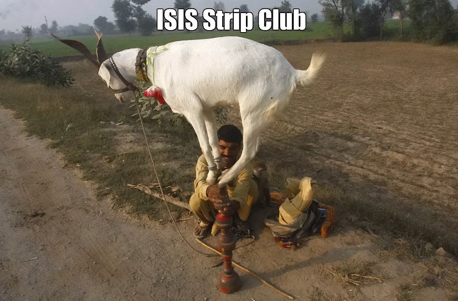 Obrázek ISIS-SC