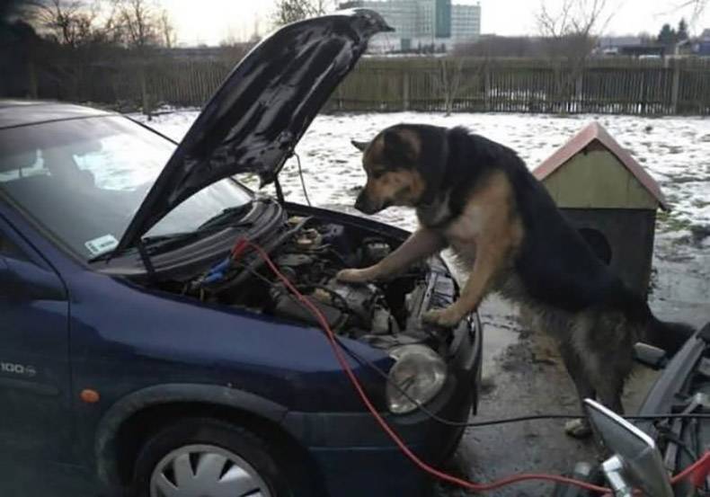 Obrázek I am consulting my German mechanic