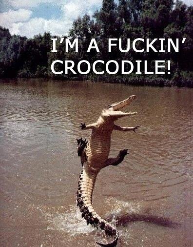 Obrázek I am fuckin crocodile