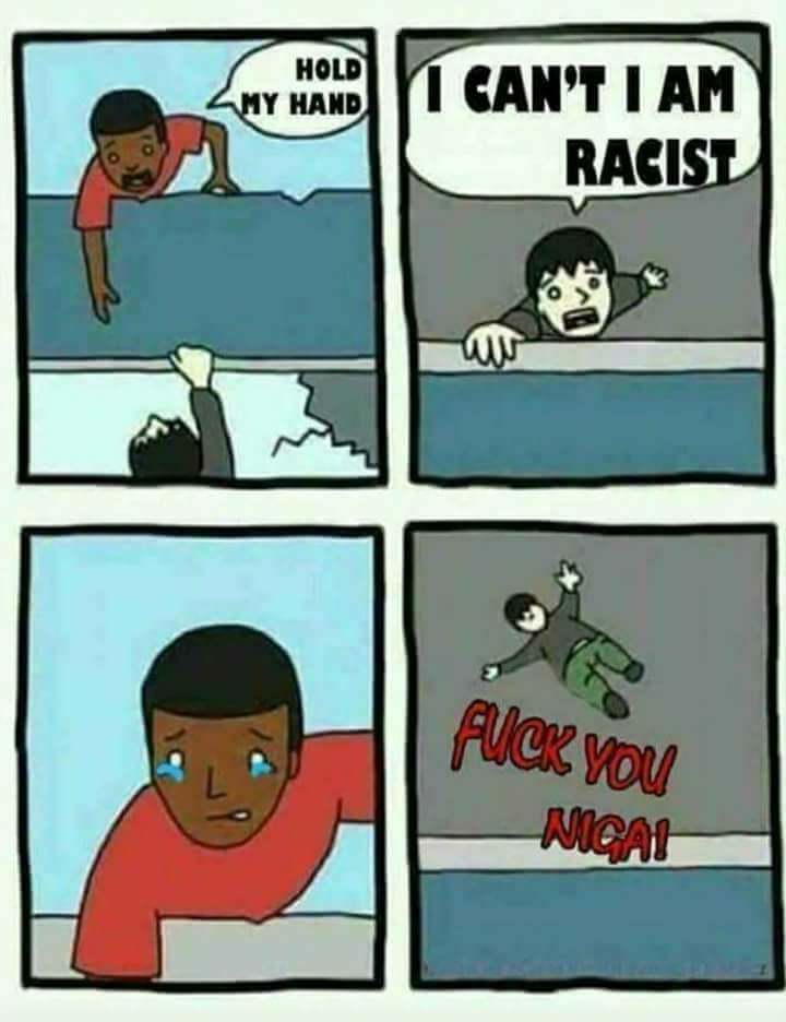 Obrázek I am racist