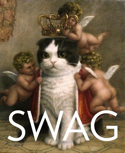 Obrázek I googled Definition of Swag and was not 04-04-2012