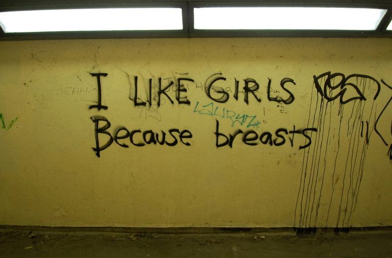 Obrázek I like girls