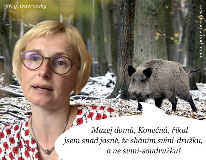 Obrázek I ten kanec ma svou hrdost