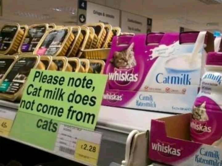 Obrázek I&nbsp;will&nbsp;try