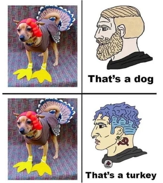 Obrázek Iam&nbsp;confused