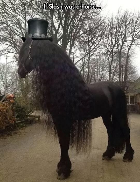 Obrázek If Slash was a horse