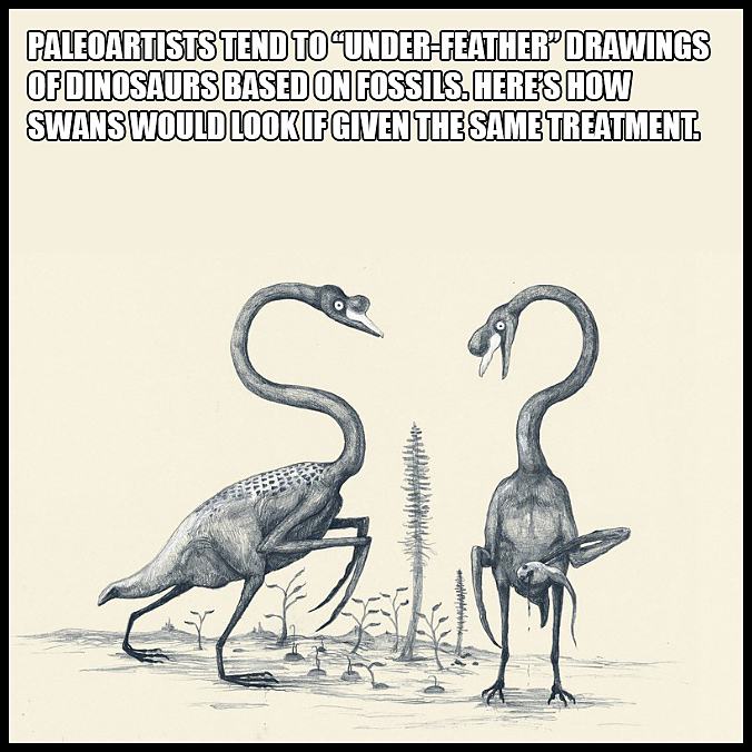 Obrázek If Swans Were Drawn Like Dinosaurs