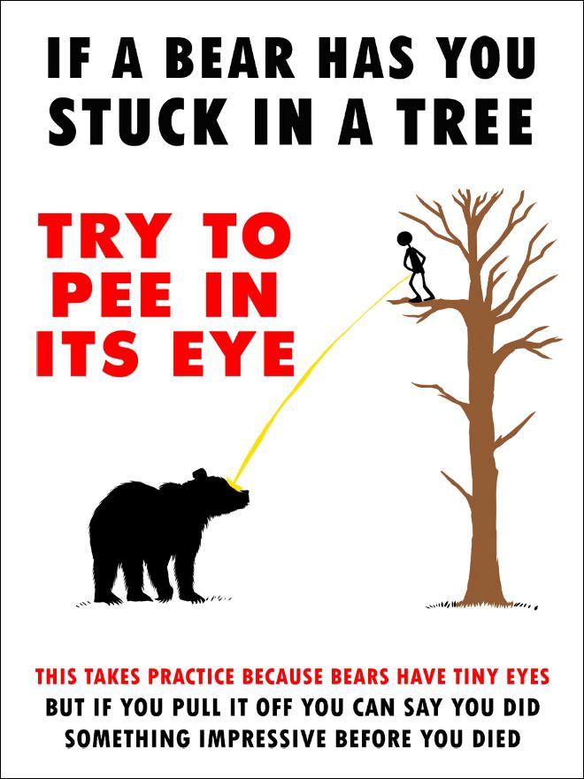 Obrázek If a Bear Has You Stuck In a Tree  