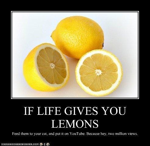 Obrázek If life gives you lemons 11-01-2012