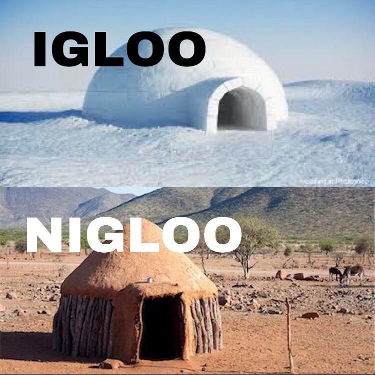 Roumenův Rouming Zábavné a zajímavé obrázky Igloo nigloo