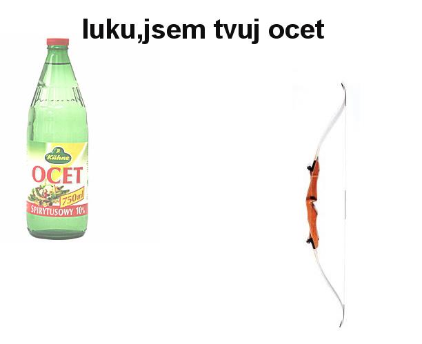 Obrázek Im ur vinegar bow