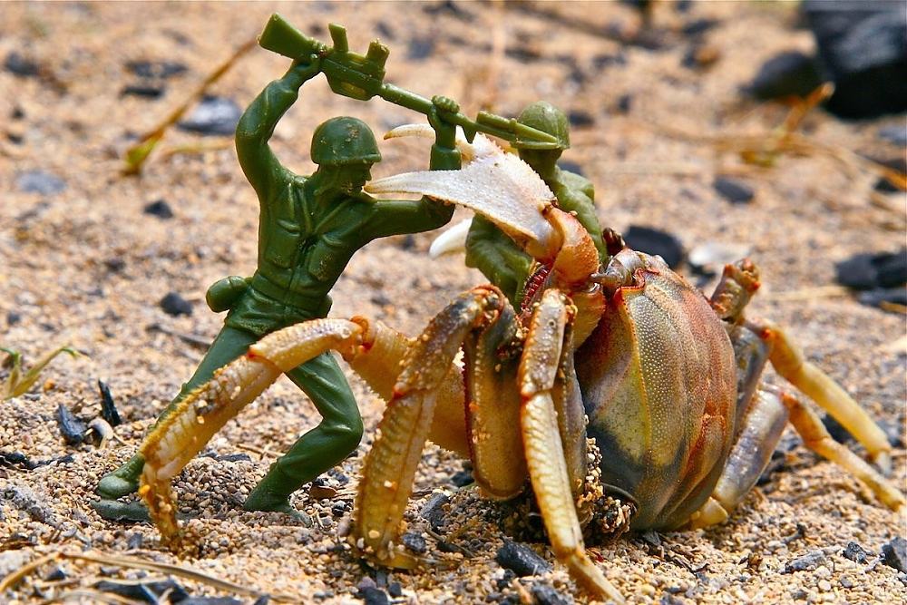 Obrázek Imperial Guardsmen fighting Tyranids