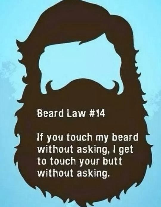 Obrázek Important-beard-law