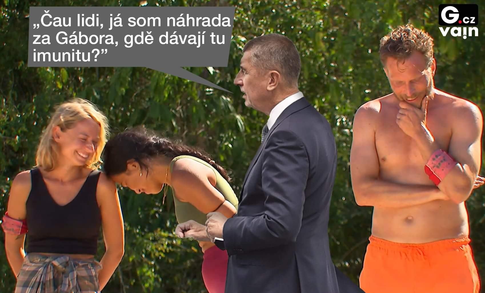 Obrázek Imunita1