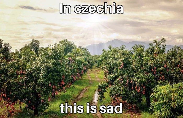 Obrázek In-Czechia-this-is-sad