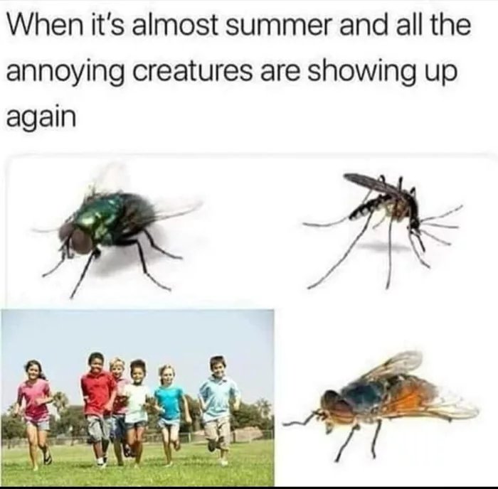 Obrázek In-the-summertime
