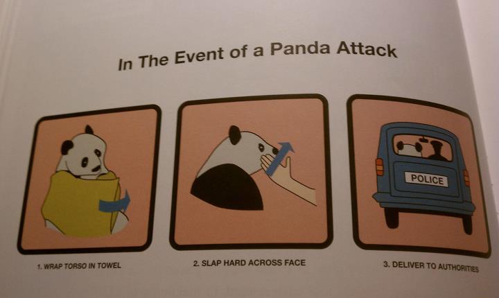Obrázek In Case of Panda