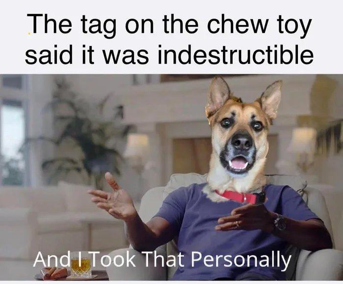 Obrázek Indestructible-indeed