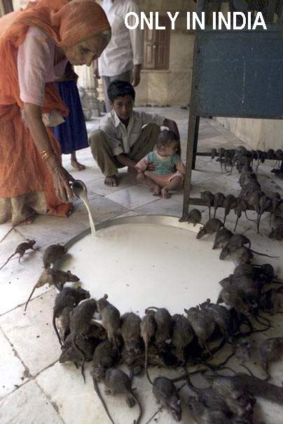 Obrázek India