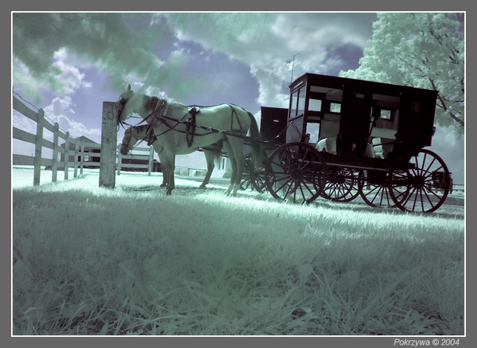 Obrázek Infrared look on Amish country2